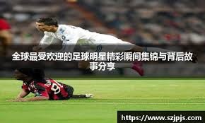 逆水寒手游苦情树花作用攻略详解